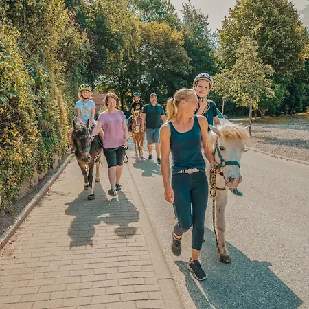 Prázdninový dům Wellness - Steilkueste